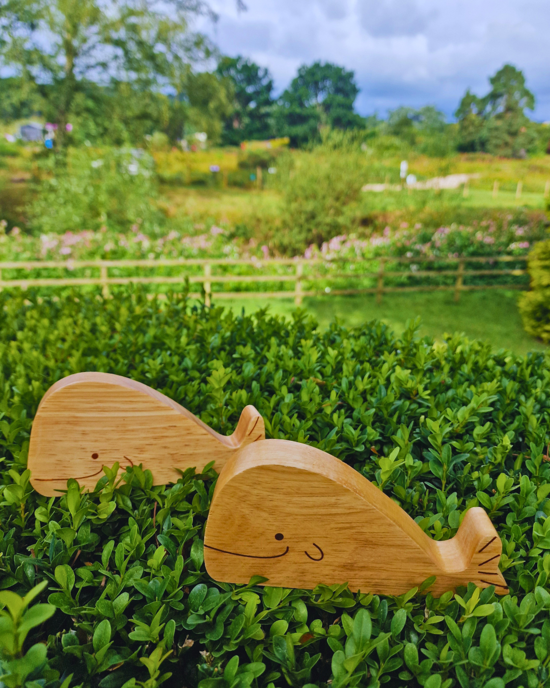 Natural Wood Noah's Ark