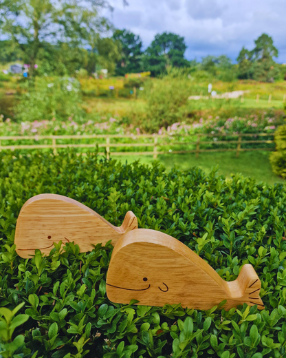 Natural Wood Noah's Ark