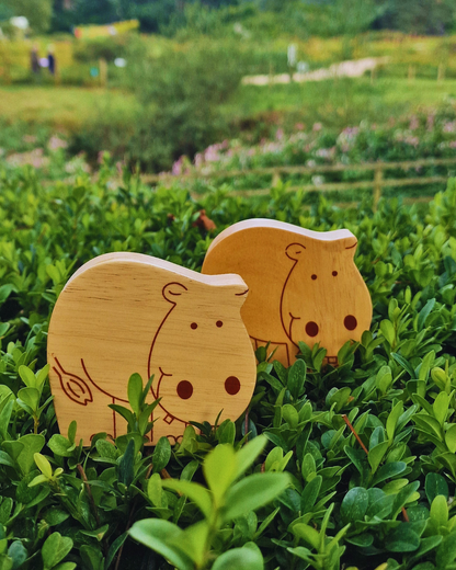 Natural Wood Noah's Ark