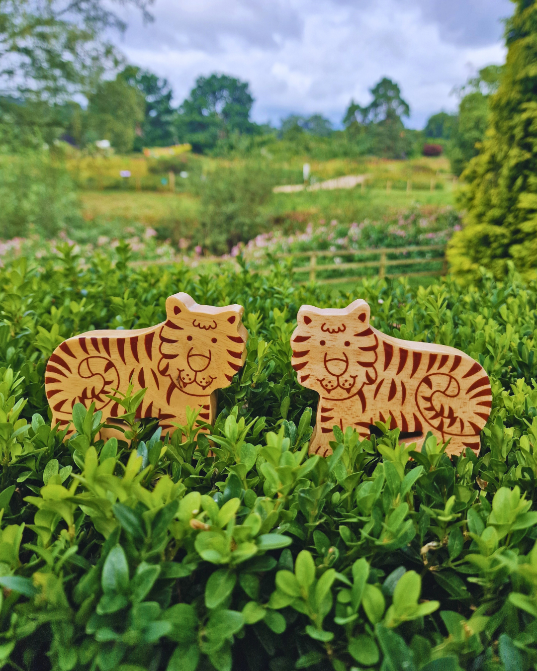 Natural Wood Noah's Ark