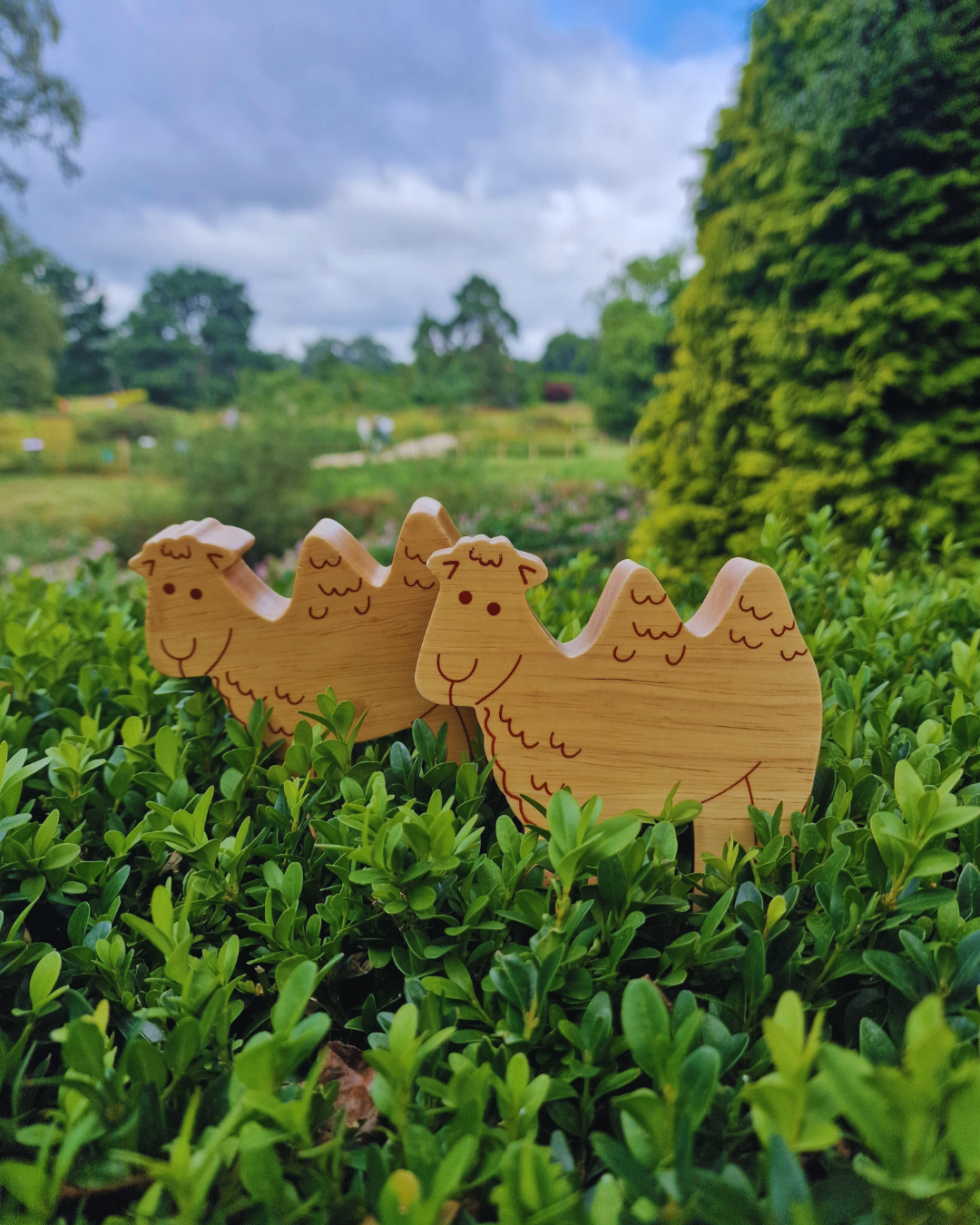 Natural Wood Noah's Ark