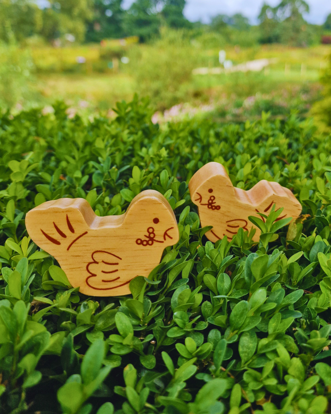 Natural Wood Noah's Ark