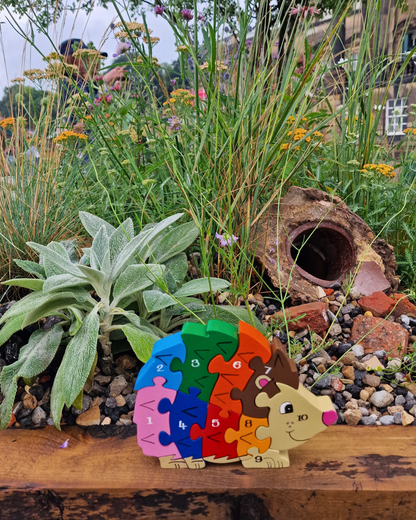 Hedgehog  Number (1-10)