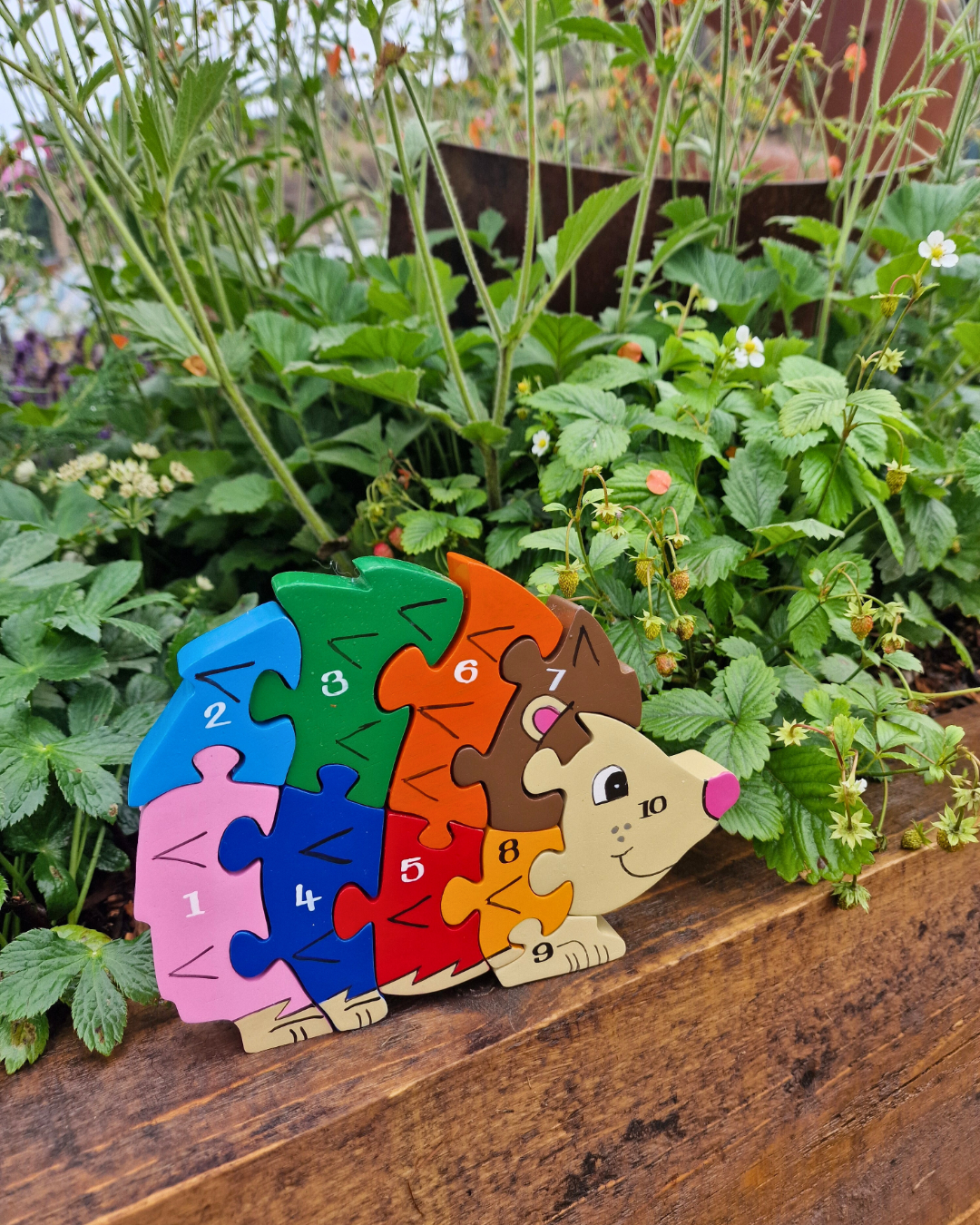 Hedgehog  Number (1-10)