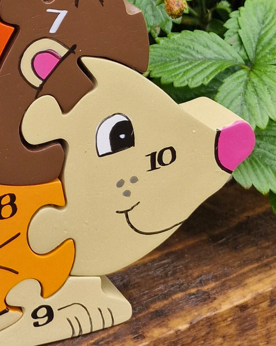 Hedgehog  Number (1-10)