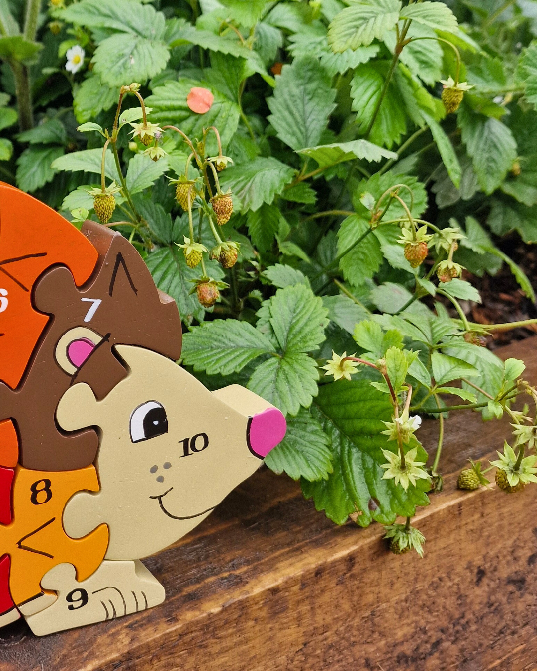 Hedgehog  Number (1-10)