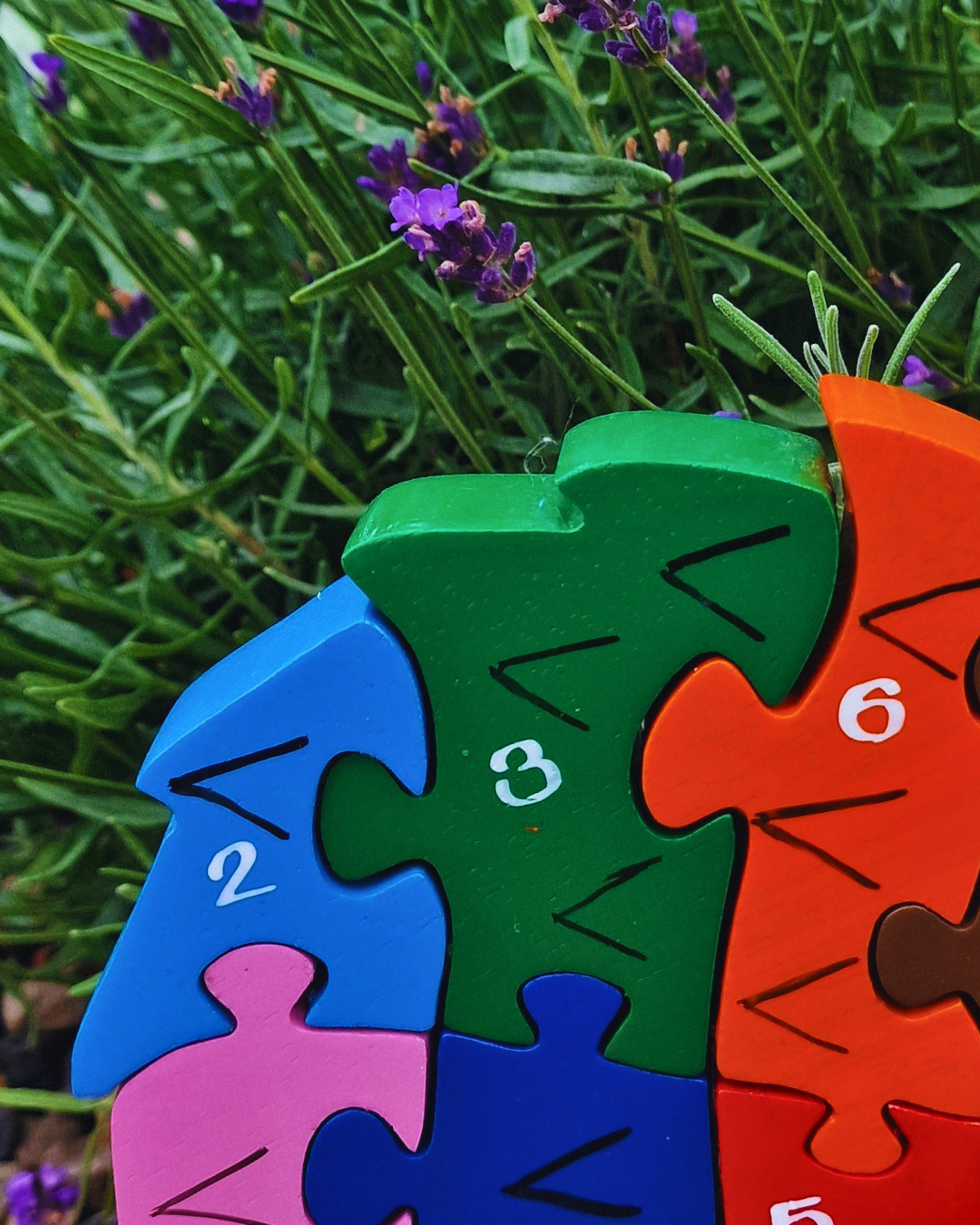 Hedgehog  Number (1-10)