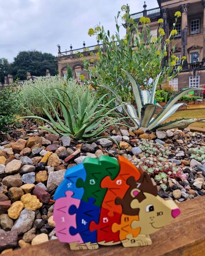 Hedgehog  Number (1-10)