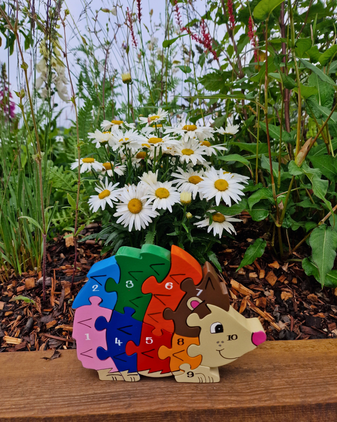 Hedgehog  Number (1-10)