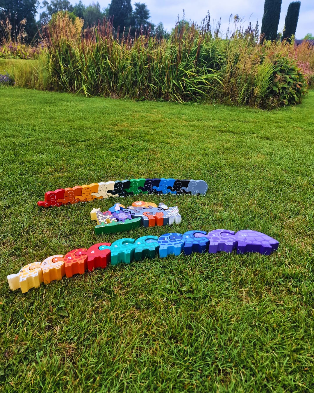 Tortoise Row Number (1-10)