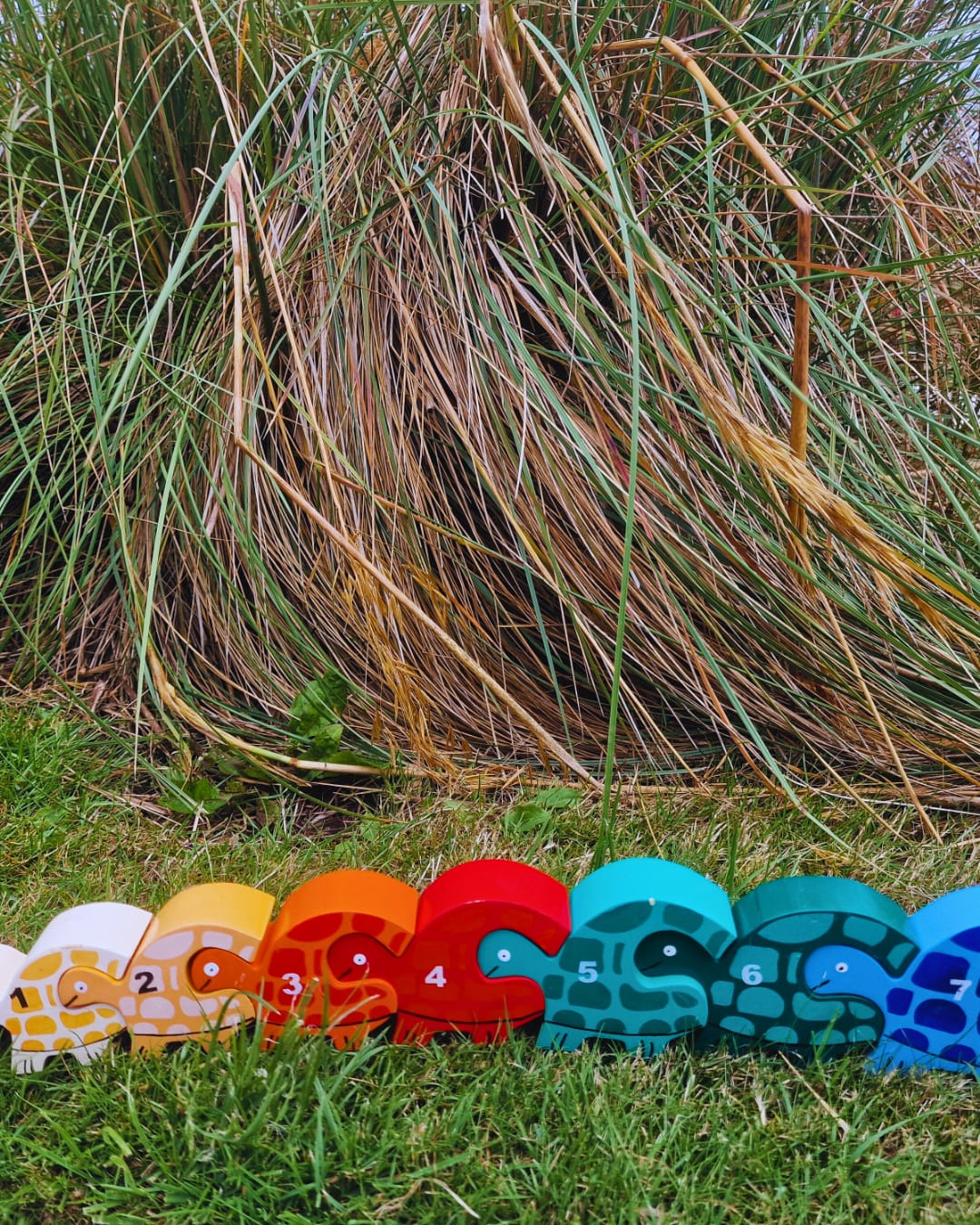 Tortoise Row Number (1-10)