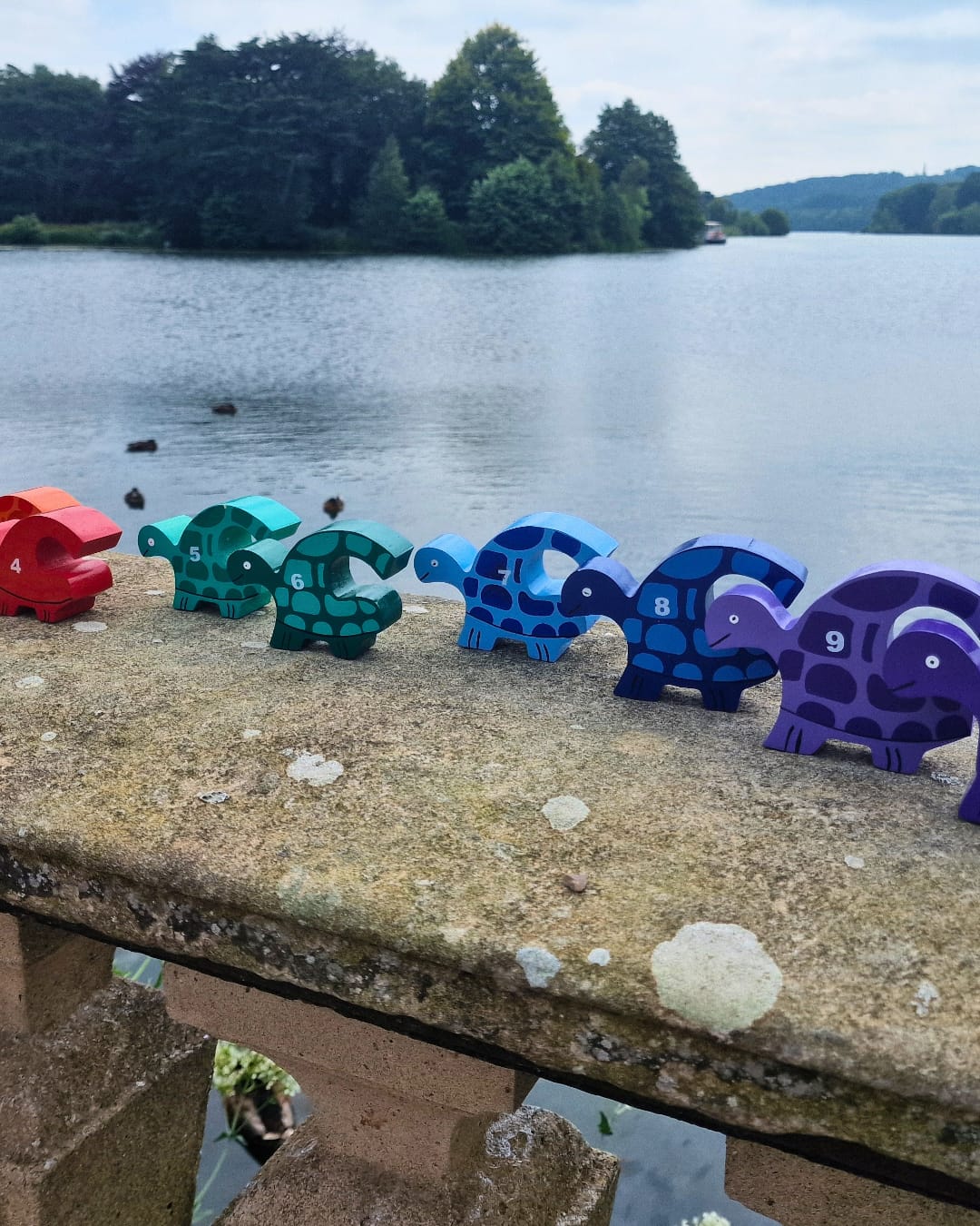 Tortoise Row Number (1-10)