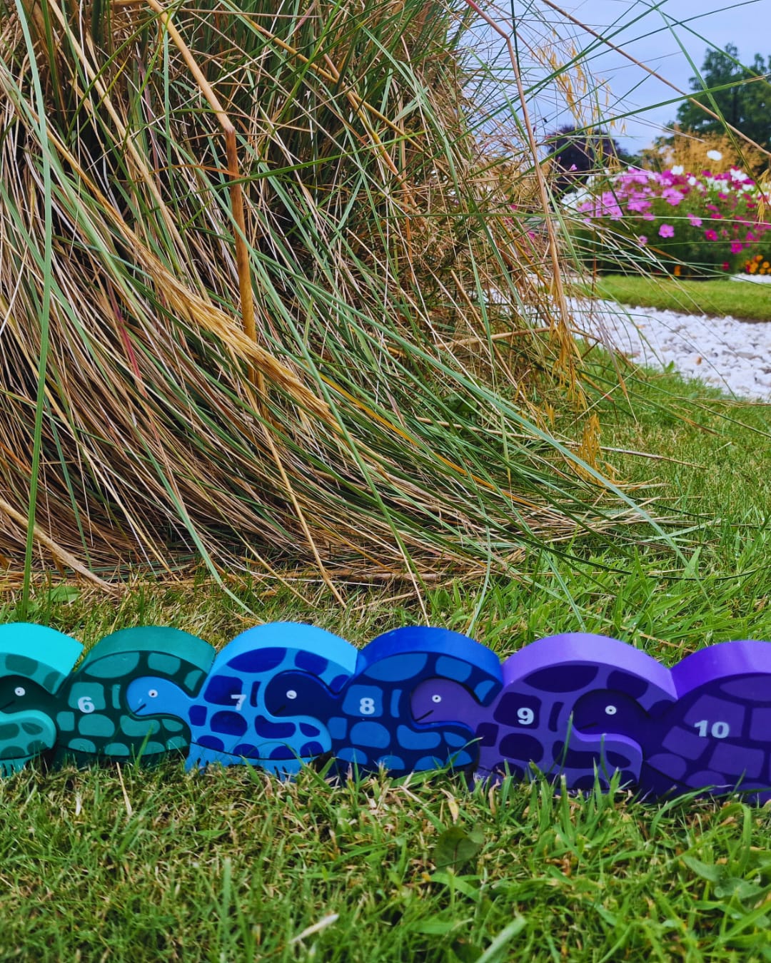 Tortoise Row Number (1-10)