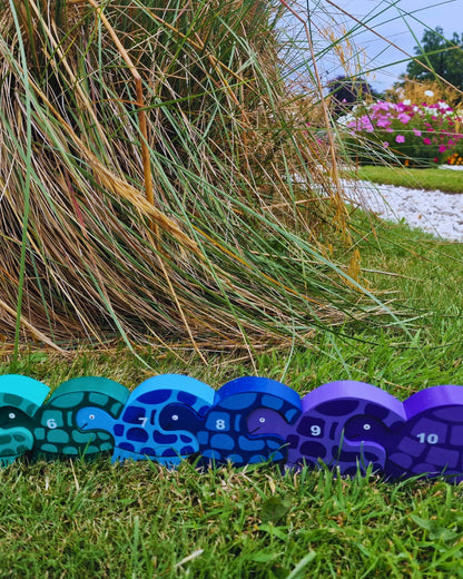 Tortoise Row Number (1-10)