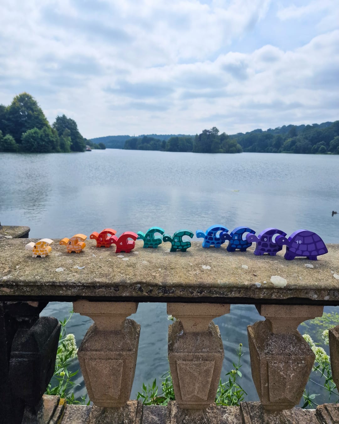 Tortoise Row Number (1-10)