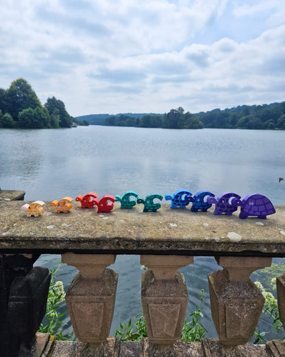 Tortoise Row Number (1-10)