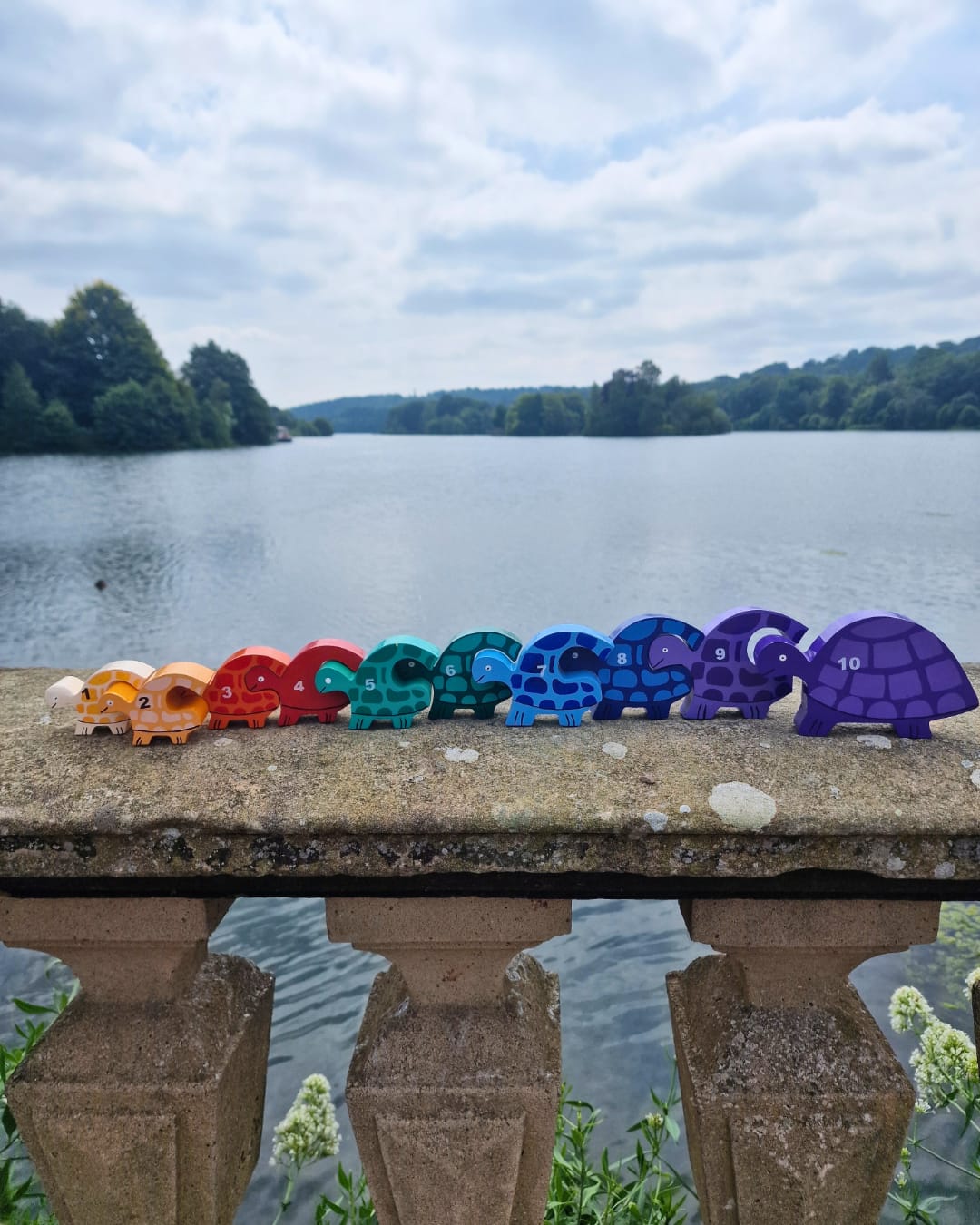 Tortoise Row Number (1-10)