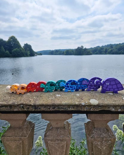 Tortoise Row Number (1-10)