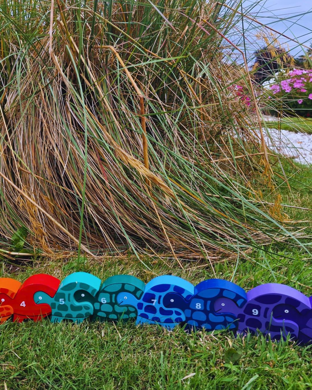 Tortoise Row Number (1-10)