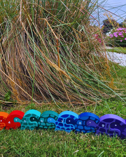 Tortoise Row Number (1-10)