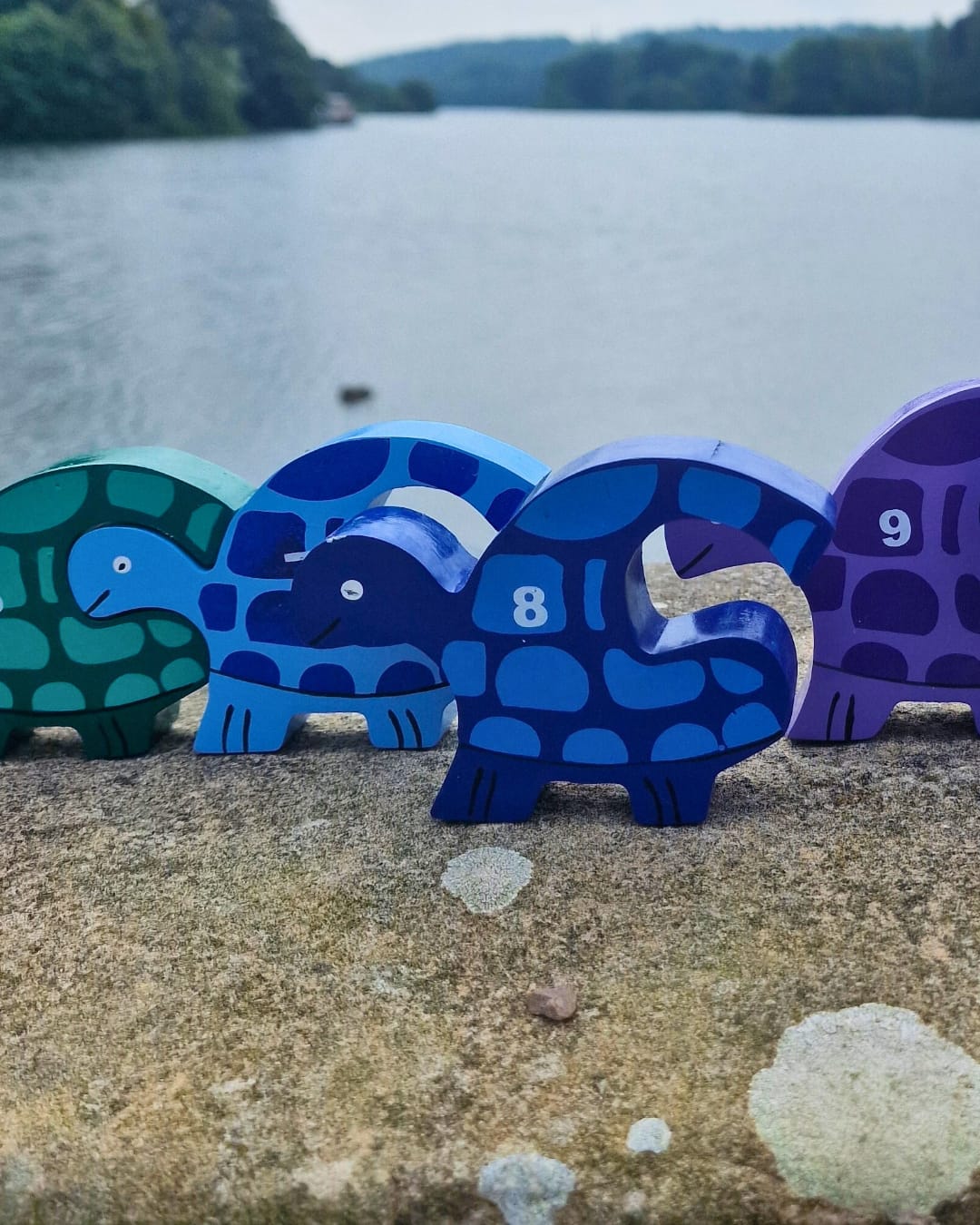 Tortoise Row Number (1-10)