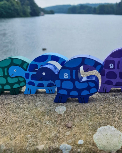 Tortoise Row Number (1-10)