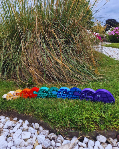 Tortoise Row Number (1-10)