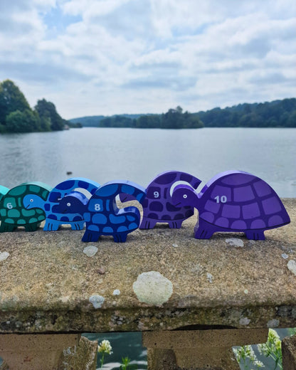 Tortoise Row Number (1-10)