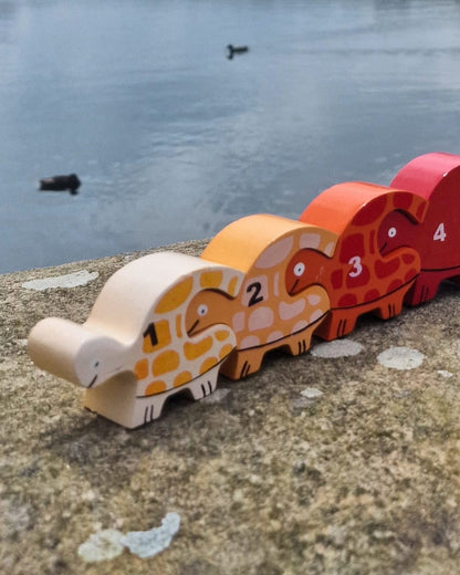 Tortoise Row Number (1-10)