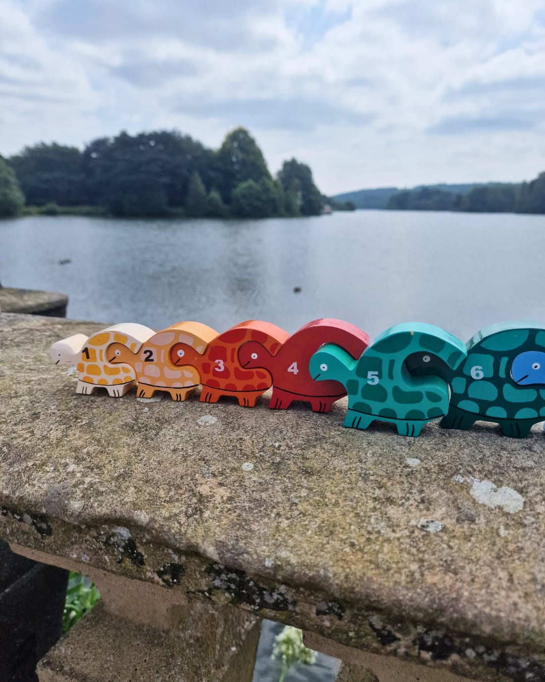 Tortoise Row Number (1-10)