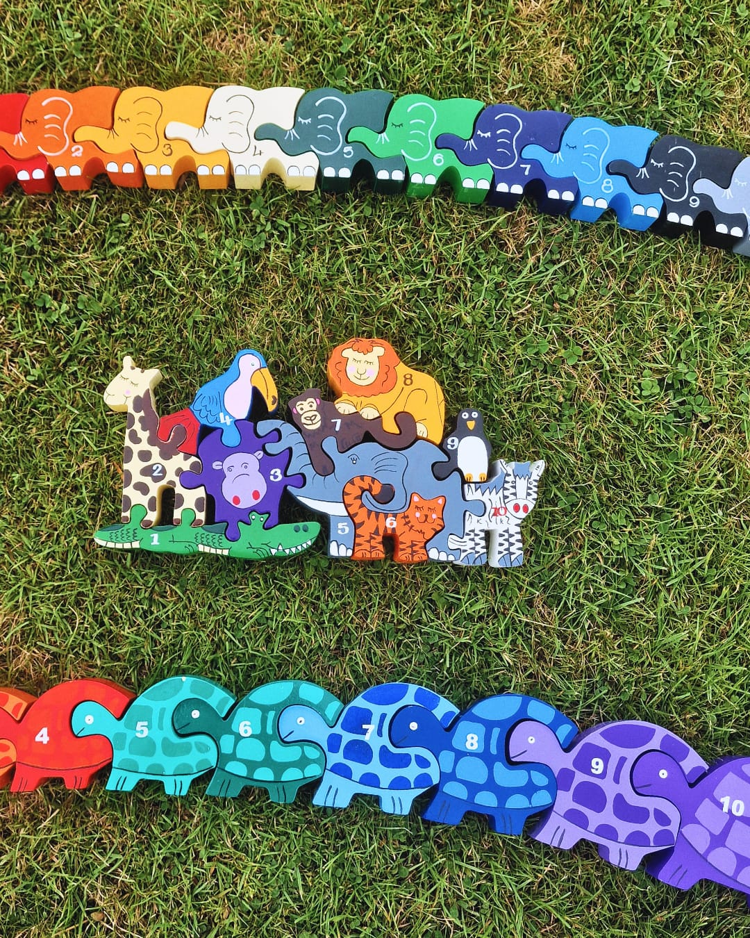 Tortoise Row Number (1-10)