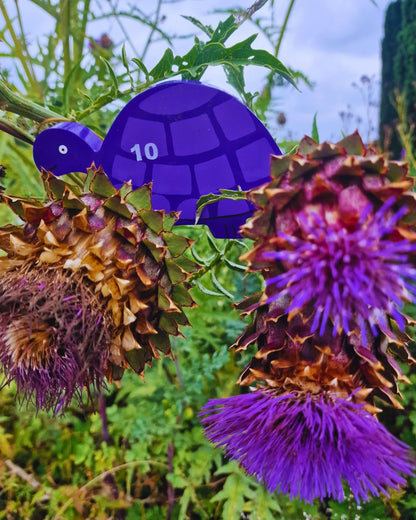 Tortoise Row Number (1-10)