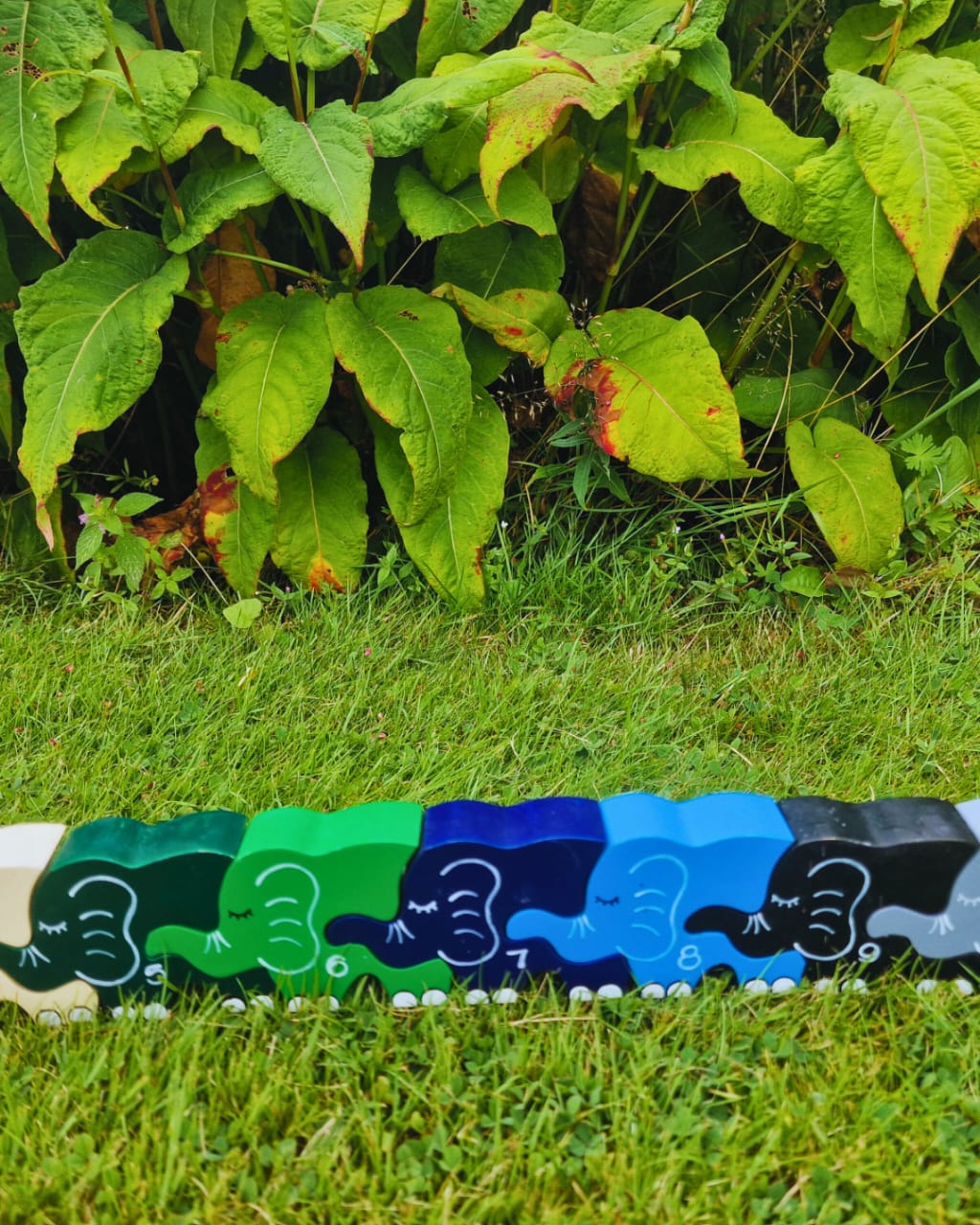 Elephant Row Number (1-10)