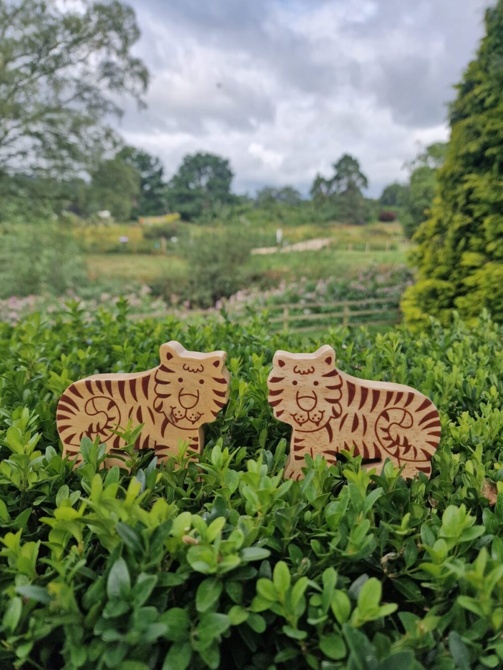 Natural Wood Noah's Ark