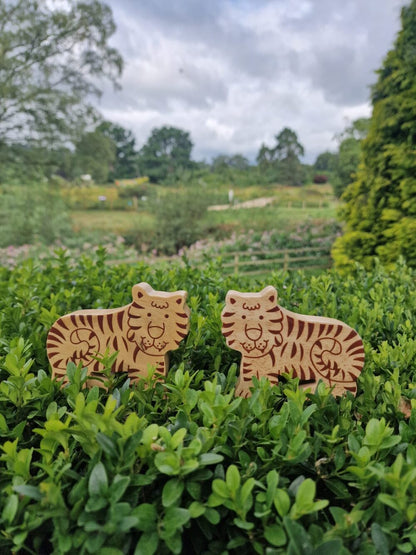 Natural Wood Noah's Ark