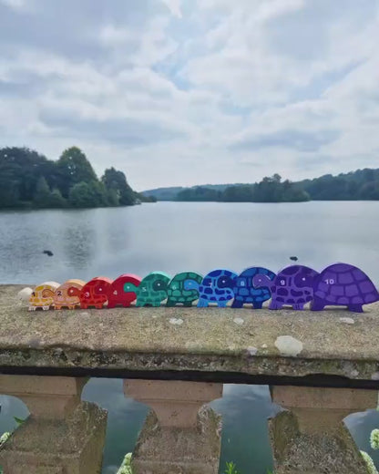 Tortoise Row Number (1-10)